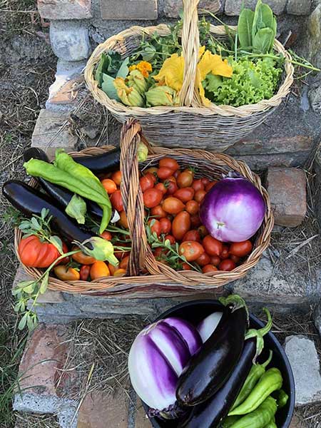 Organic Food Womens Retreat 